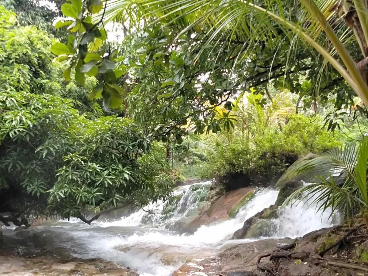 Arnolds Familly Homestay Bajawa Dış mekan fotoğraf