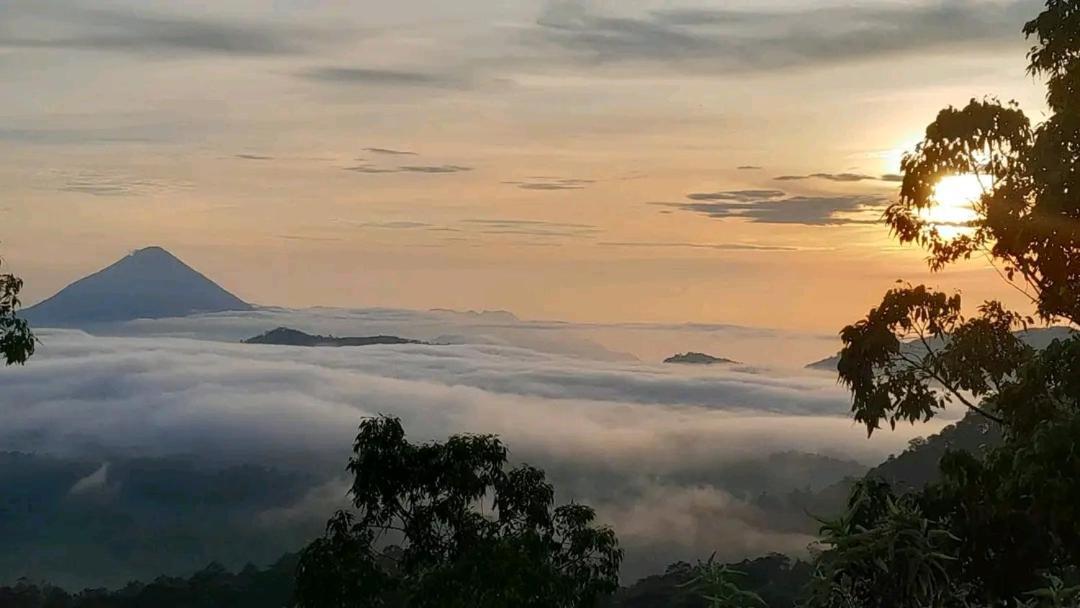 Arnolds Familly Homestay Bajawa Dış mekan fotoğraf